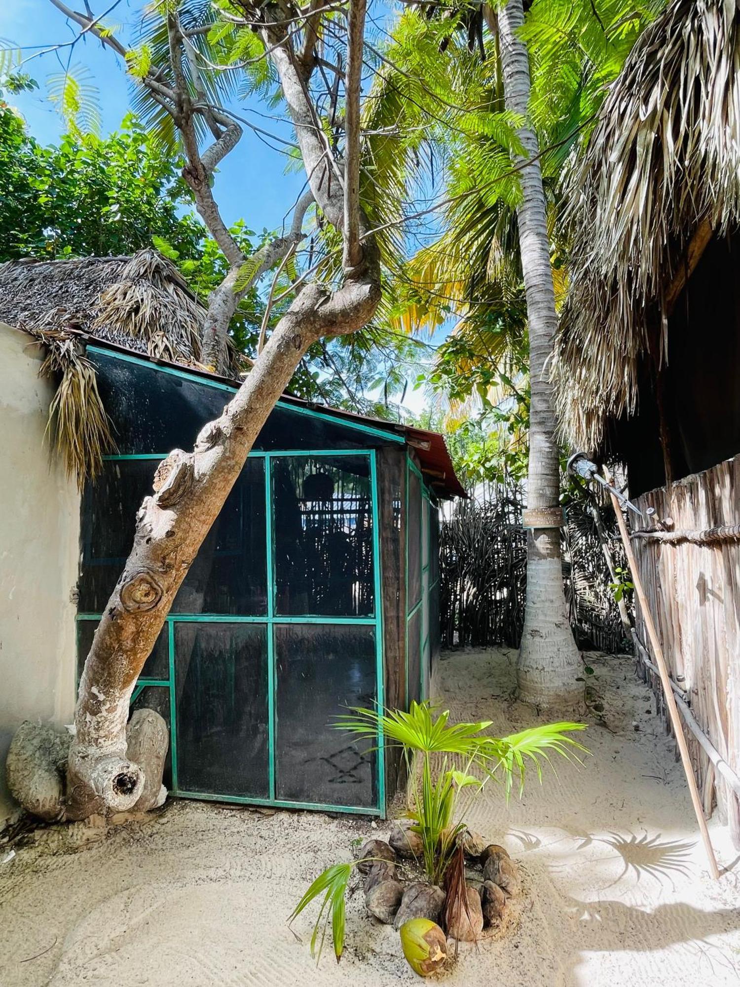 Casa Jade Ecobungalows Las Coloradas Yuluc Rum bild